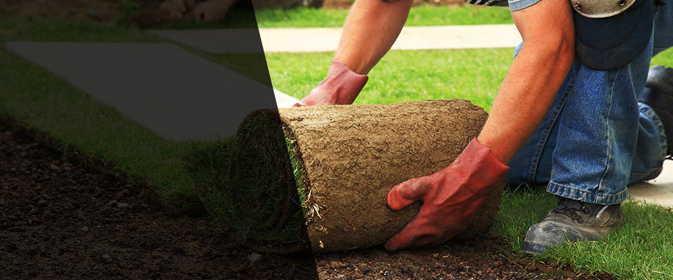 Auburn Landscapers